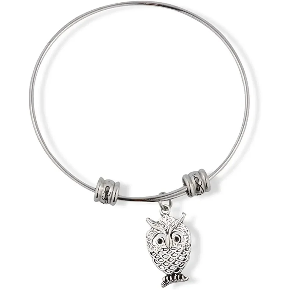 Owl Bird Charm Bangle Bracelet Jewelry